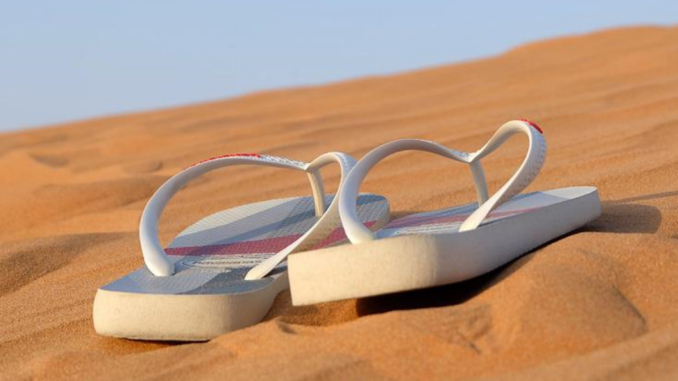 flip-flop-olg-zweibruecken